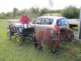 /album/menrit-en-barbecue-29-09-2014/menrit-29-9-12-024-jpg/